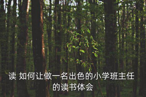 讀 如何讓做一名出色的小學班主任 的讀書體會