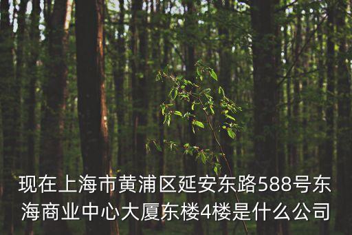 現在上海市黃浦區延安東路588號東海商業中心大廈東樓4樓是什么公司