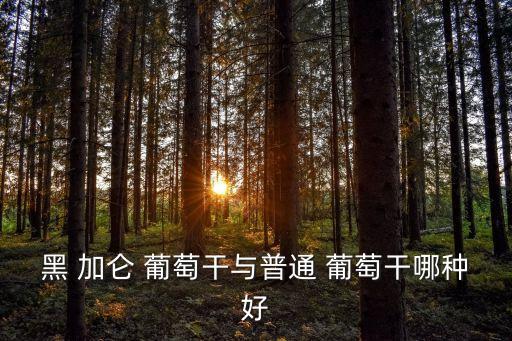 黑加侖和葡萄的區別,黑加侖葡萄干爽滑營養豐富可食用
