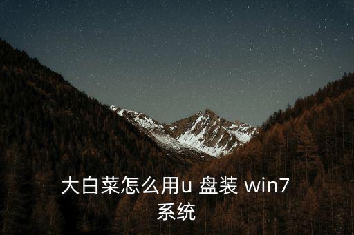 大白菜u盤裝系統win7