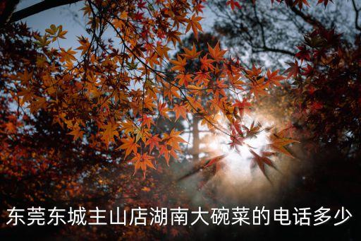 東莞超級大盤菜，東莞有幾家湖南大碗菜哪家的最好吃