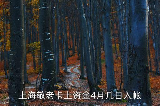 上海敬老卡上資金4月幾日入帳