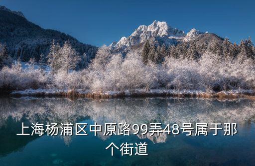 上海市中原路99弄屬于哪個區，上海航中路99號弄