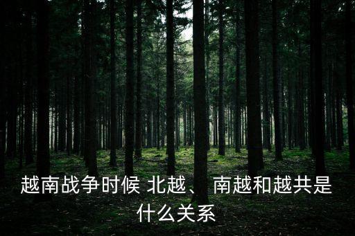 南越北越,越共建立越南民主共和國