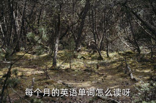 每個月的英文，每個月英語單詞的格式