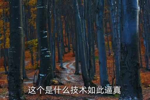 這個是什么技術如此逼真