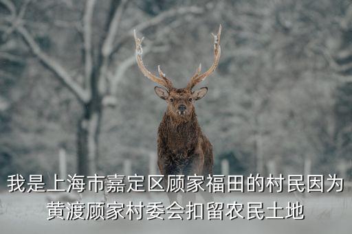 上海市農田受損，我是上海市嘉定區顧家福田的村民因為黃渡顧家村委會扣留農民土地
