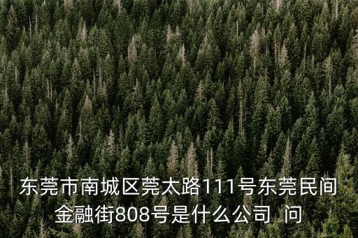 東莞市南城區莞太路111號東莞民間金融街808號是什么公司  問