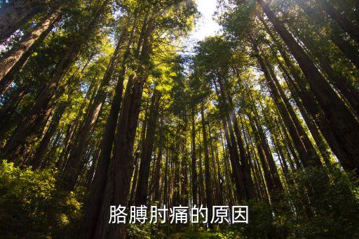 胳膊肘疼是怎么回事，胳膊肘痛的原因