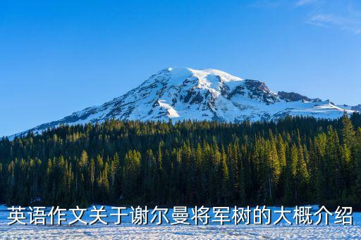 謝爾曼將軍樹，英語作文關于謝爾曼將軍樹的大概介紹