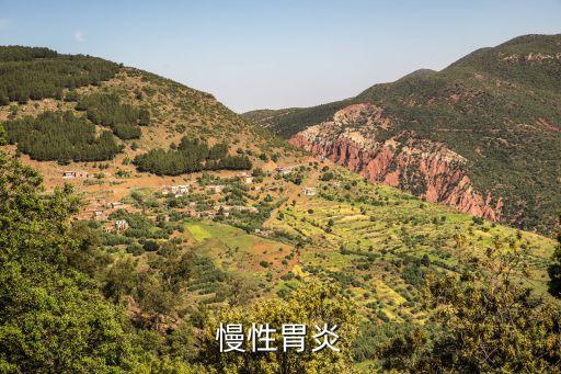 慢性胃病，慢性胃病