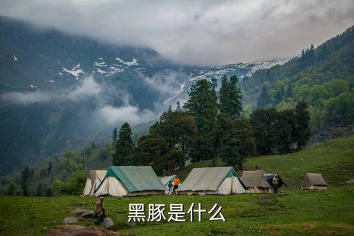 黃豚,中國江蘇省水產養殖場黑豚鼠養殖前景廣闊