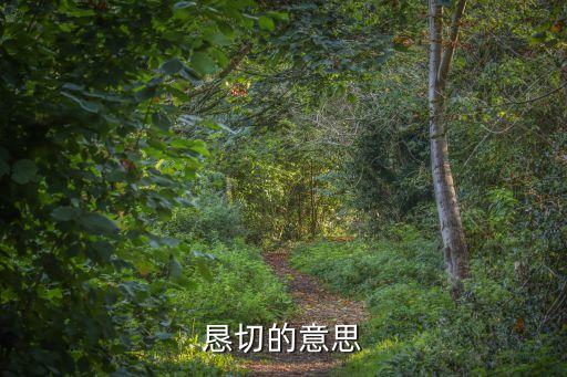懇切的意思