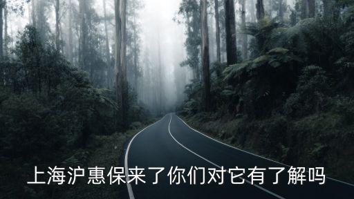上海滬惠保來了你們對(duì)它有了解嗎