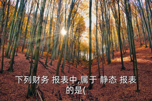 靜態報表,3.動態報表表現企業資金運動情況