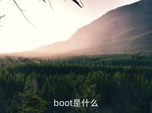 boot是什么