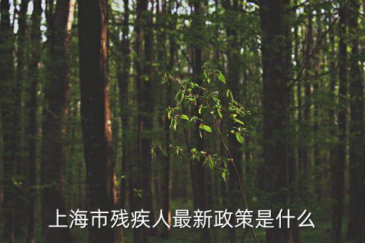 上海市殘疾人最新政策是什么
