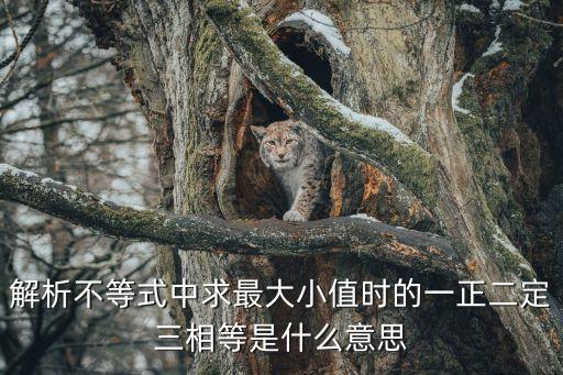 解析不等式中求最大小值時的一正二定三相等是什么意思