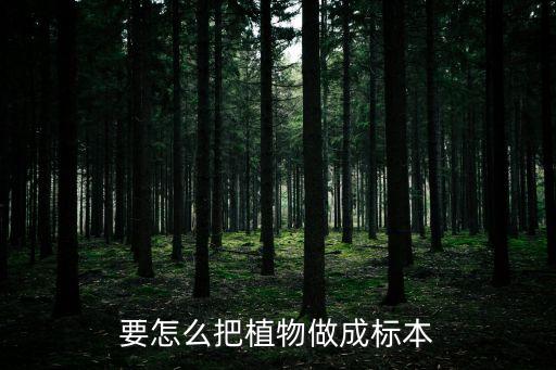 要怎么把植物做成標(biāo)本
