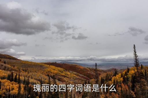  瑰麗的四字詞語是什么