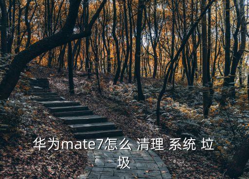 一鍵清理系統垃圾,系統垃圾需要清理嗎?