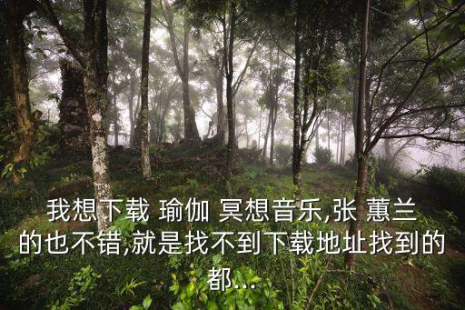 我想下載 瑜伽 冥想音樂,張 蕙蘭的也不錯,就是找不到下載地址找到的都...