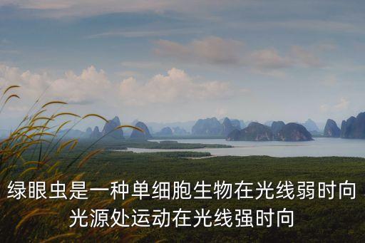 綠眼蟲是一種單細(xì)胞生物在光線弱時(shí)向光源處運(yùn)動(dòng)在光線強(qiáng)時(shí)向