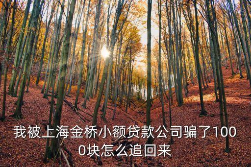 上海市金橋小額貸款投訴，我被上海金橋小額貸款公司騙了1000塊怎么追回來