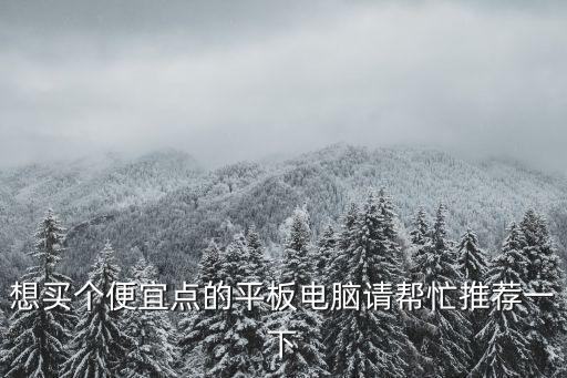 想買(mǎi)個(gè)便宜點(diǎn)的平板電腦請(qǐng)幫忙推薦一下