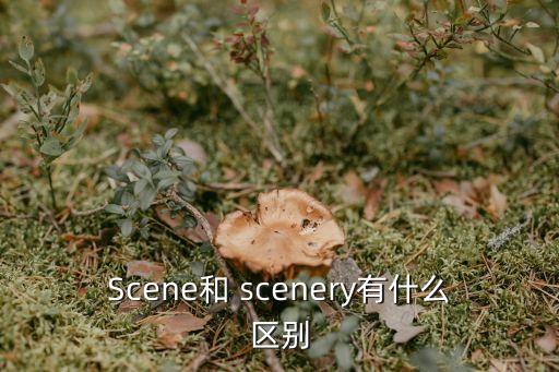 Scene和 scenery有什么區(qū)別