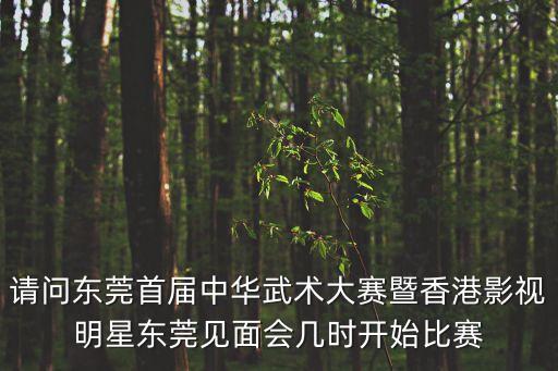 請問東莞首屆中華武術(shù)大賽暨香港影視明星東莞見面會幾時開始比賽