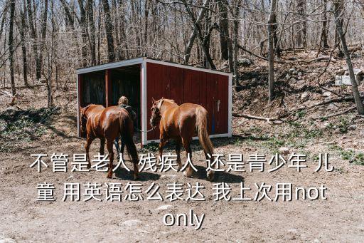 不管是老人 殘疾人 還是青少年 兒童 用英語怎么表達 我上次用not only
