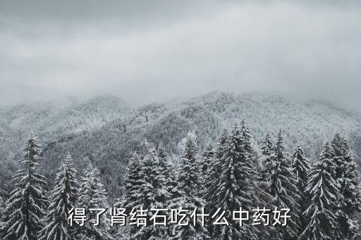 得了腎結石吃什么中藥好