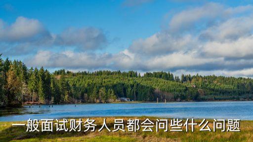 財(cái)務(wù)面試問題，財(cái)務(wù)面試題