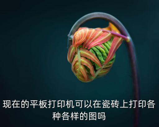 現在的平板打印機可以在瓷磚上打印各種各樣的圖嗎