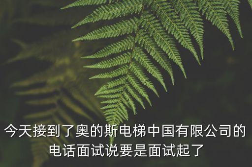 今天接到了奧的斯電梯中國有限公司的電話面試說要是面試起了