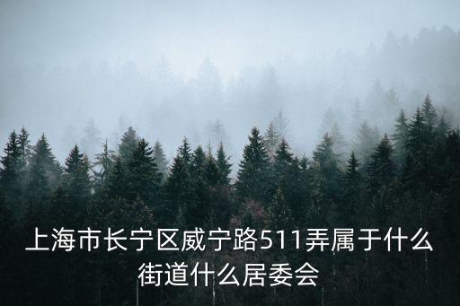上海市長寧區威寧路511弄屬于什么街道什么居委會