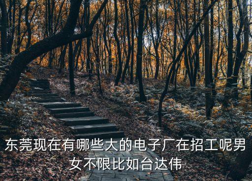 東莞現在有哪些大的電子廠在招工呢男女不限比如臺達偉