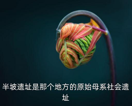 半坡遺址是那個地方的原始母系社會遺址