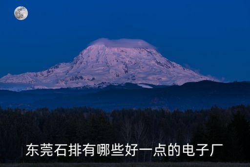 東莞石排樂放電子廠，東莞石排有哪些好一點的電子廠
