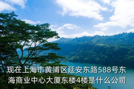 現(xiàn)在上海市黃浦區(qū)延安東路588號(hào)東海商業(yè)中心大廈東樓4樓是什么公司