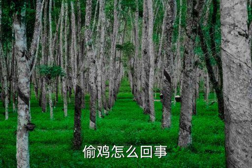 偷雞，網絡語偷雞什么意思