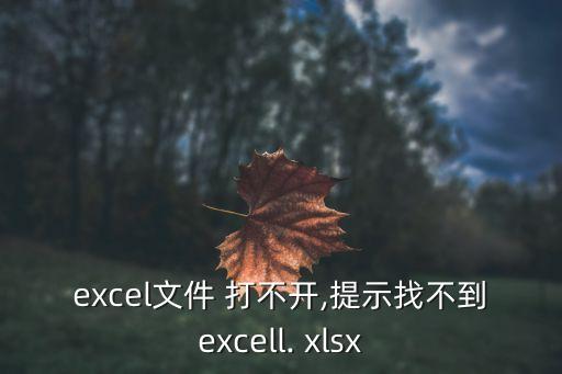xlsx打不開,excel打不開文件怎么辦