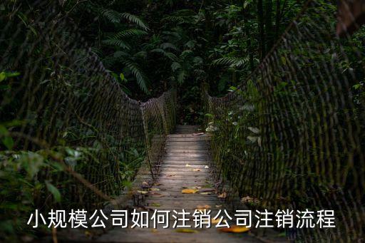 小規模公司注銷，小規模公司怎么注銷