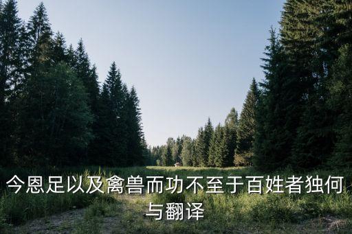 今恩足以及禽獸而功不至于百姓者獨(dú)何與翻譯