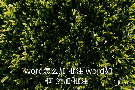  word怎么加 批注 word如何 添加 批注