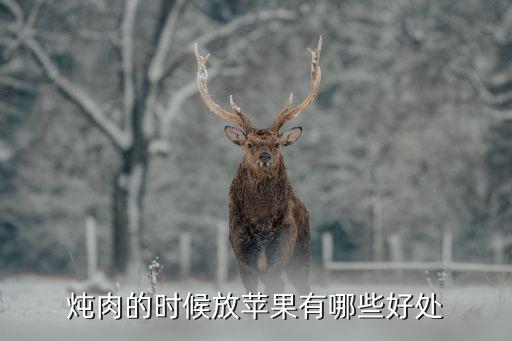 燉肉的時候放蘋果有哪些好處