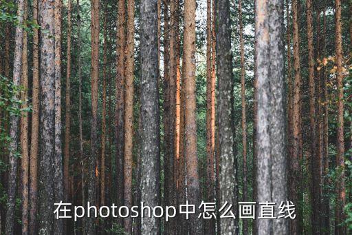 在photoshop中怎么畫直線