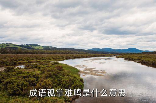 成語孤掌難鳴是什么意思