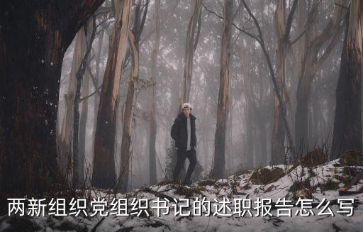 支部書記述職報告，兩新組織黨組織書記的述職報告怎么寫